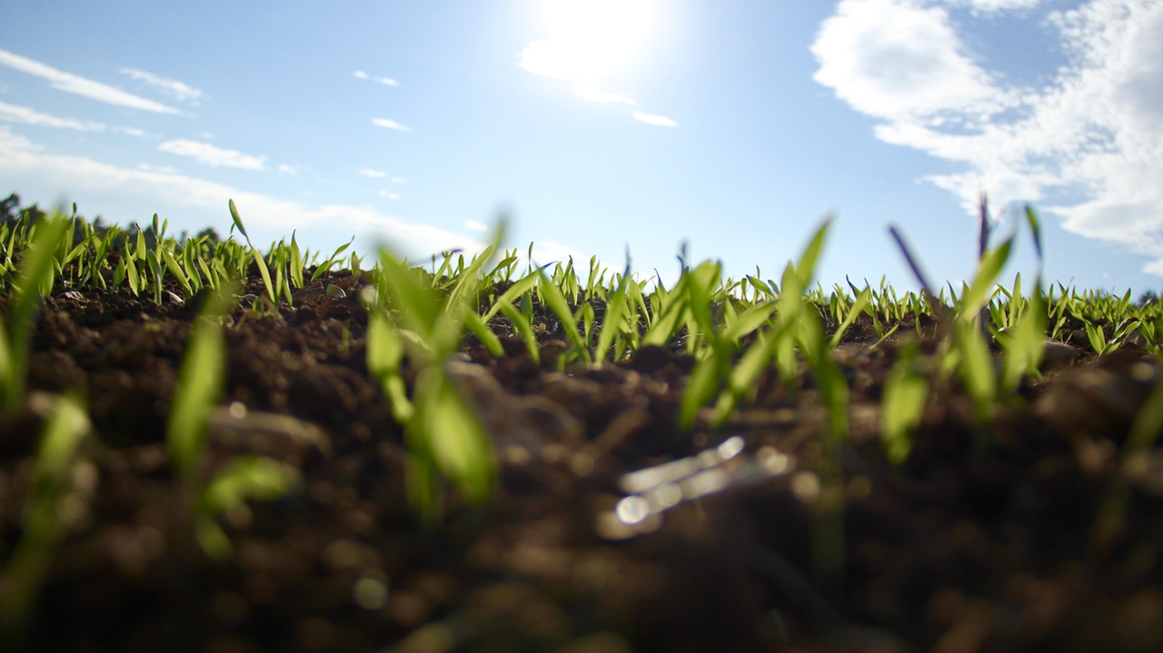 lead-nurturing