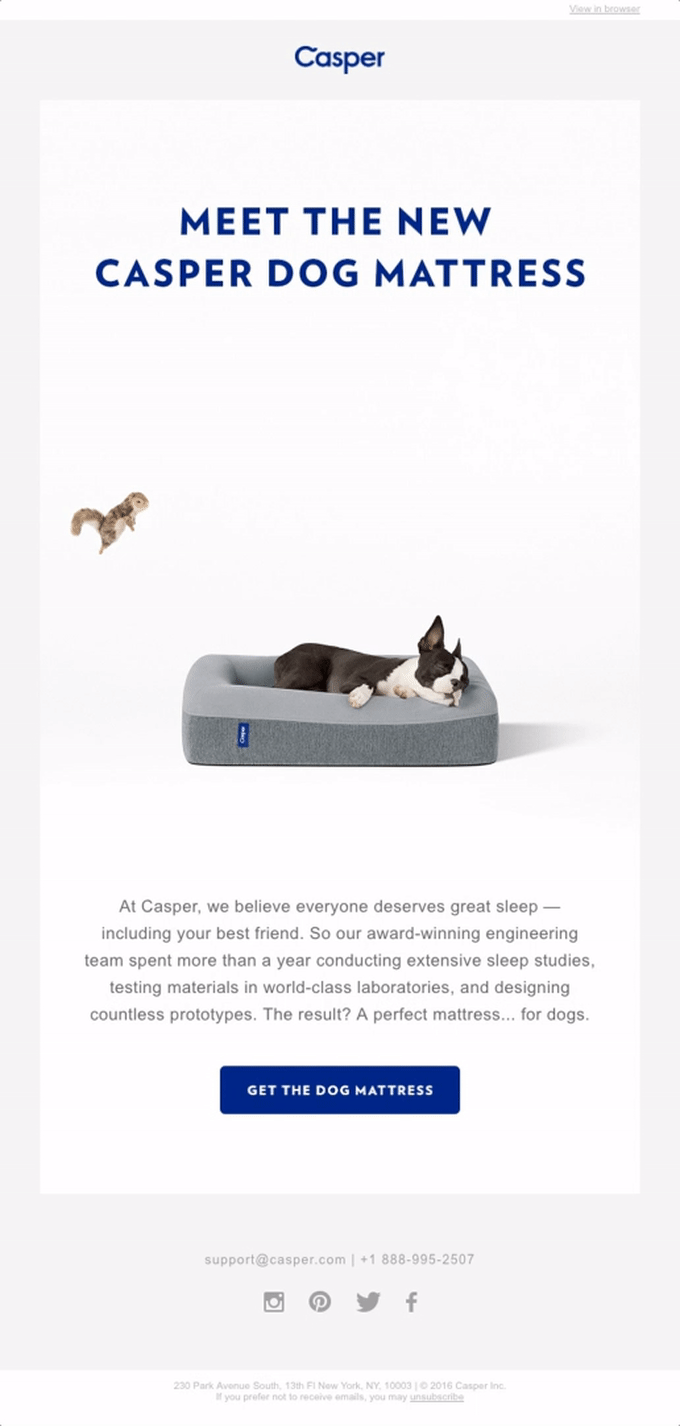 Meet the new Casper dog mattress new product launch email example